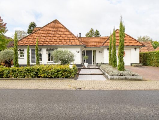 Hoofdfoto van Borne Zuid Esch 18